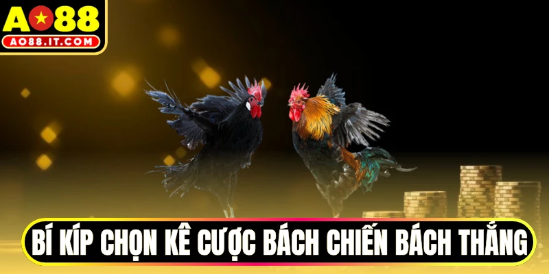 Bí kíp chọn kê cược bách chiến bách thắng