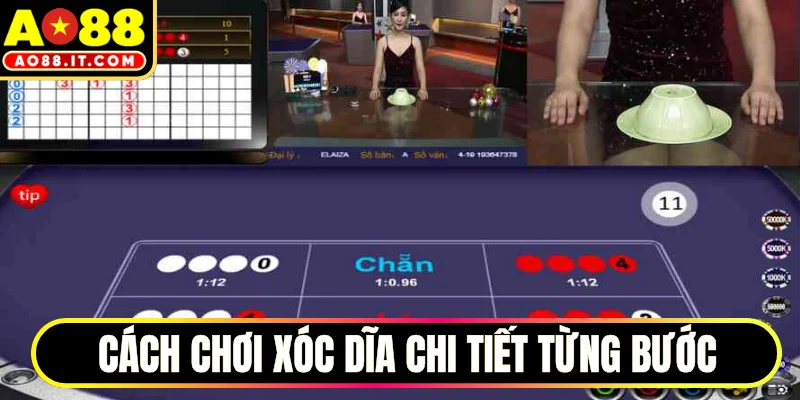 Cách chơi Xóc dĩa chi tiết từng bước cho thành viên mới