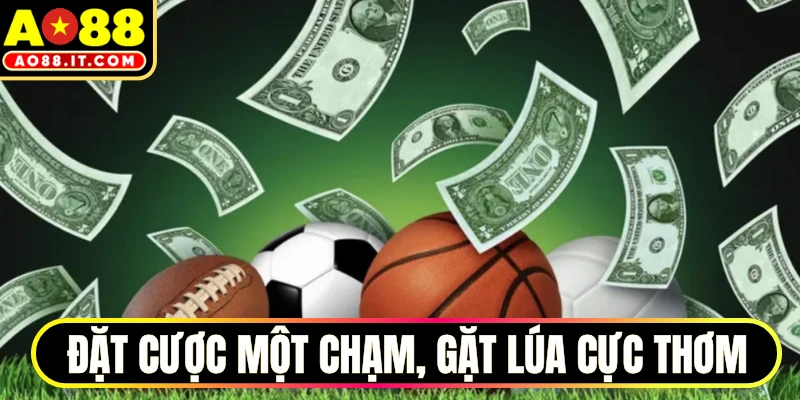 Đặt cược một chạm, gặt lúa cực thơm